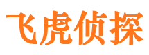 托里市侦探调查公司